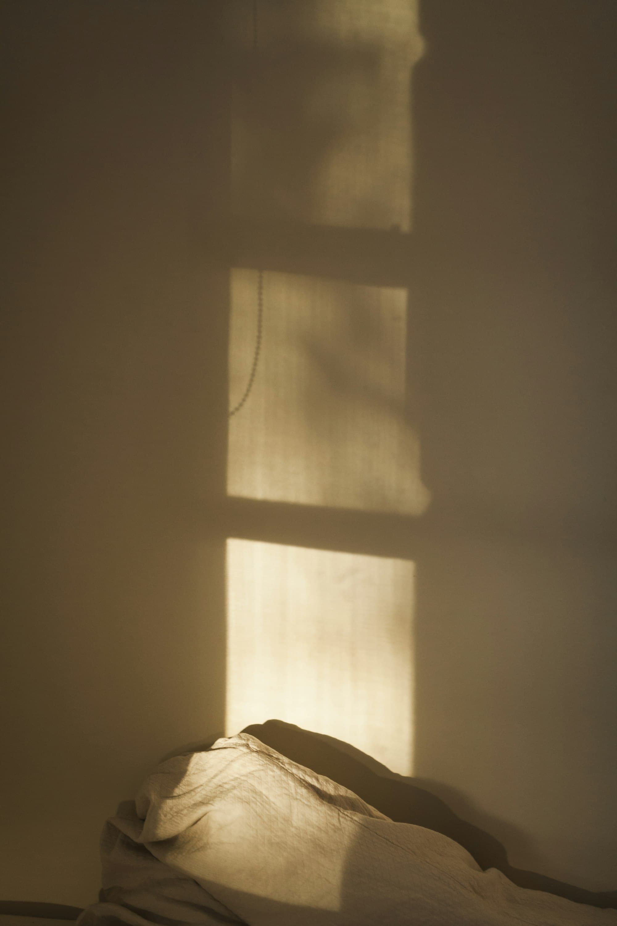 Soft afternoon light falling across a quiet room